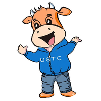 Jiang Dabai: The Risk Manager of Wafer Factories