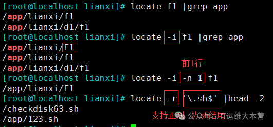 Linux File Search Tools: Locate vs. Find - Which is Your Best Choice?