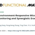 Bacterial Microenvironment-Responsive Microneedle Patches for Real-Time Monitoring and Synergistic Eradication of Infection