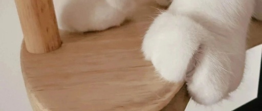 Building Positions in AI and Robotics ETFs