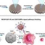 3D Printed Scaffolds Aid in Bone Defect Repair: A Study from Shanghai Jiao Tong University in Biomaterials
