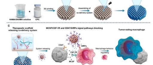 3D Printed Scaffolds Aid in Bone Defect Repair: A Study from Shanghai Jiao Tong University in Biomaterials