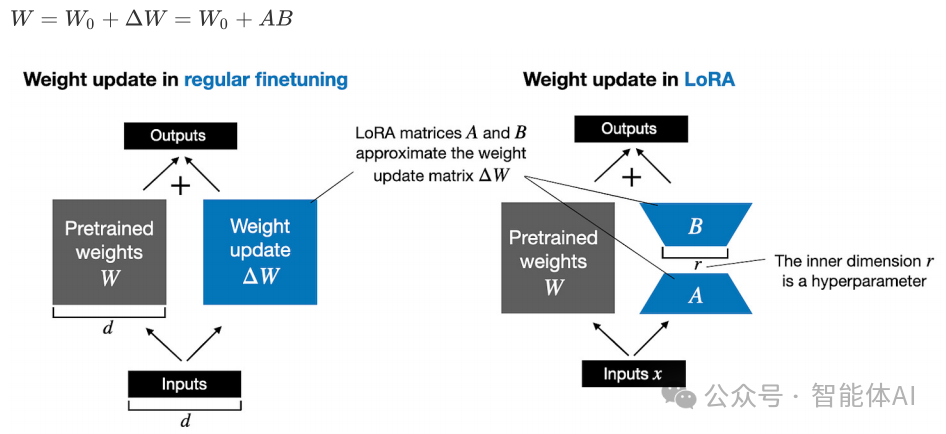 Why LoRA Has Become an Indispensable Core Technology for Fine-Tuning Large Models?