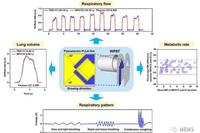 Wearable Piezoelectric Airflow Sensor for Human Respiratory and Metabolic Monitoring