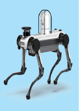 Robots: New Advances in Walking Large Models