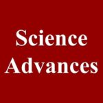 Chinese Scholars Publish in Science Journal: Sensors and Memristors