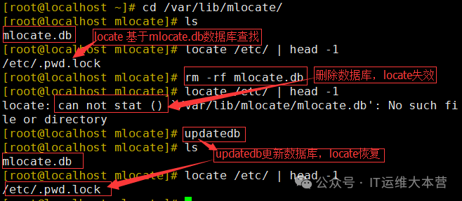 Linux File Search Tools: Locate vs. Find - Which is Your Best Choice?