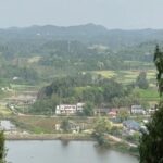 The Dance of Improvisation: The Unity of Body Awareness in Creation, Performance, and Appreciation