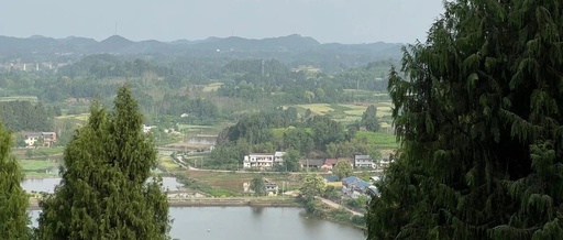 The Dance of Improvisation: The Unity of Body Awareness in Creation, Performance, and Appreciation