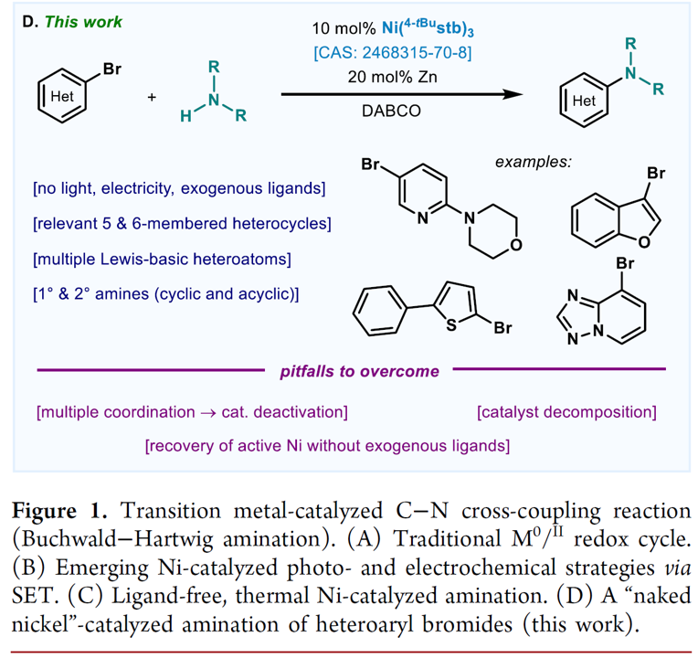 C-N Coupling of Brominated Heteroaromatic Compounds Catalyzed by Ni