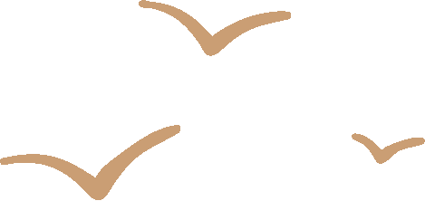 C Language Exercises - Day 14