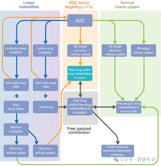 The Development History of ADC Over 40 Years (Part 3)