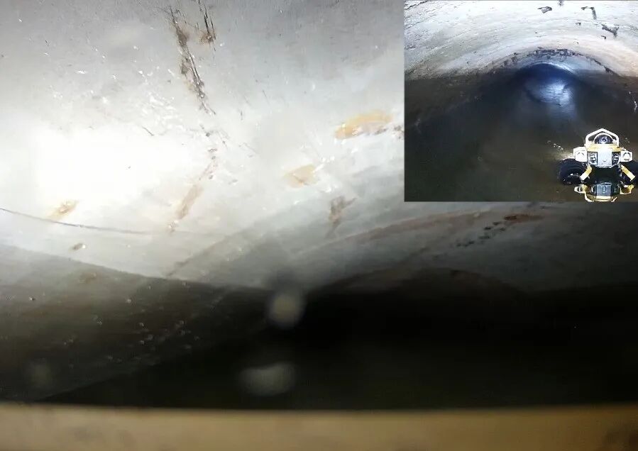 All-Terrain Detection Robot: Gator-s1 Has Arrived!