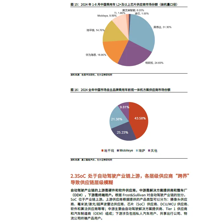 2025 In-Depth Report on Smart Driving SoC Industry