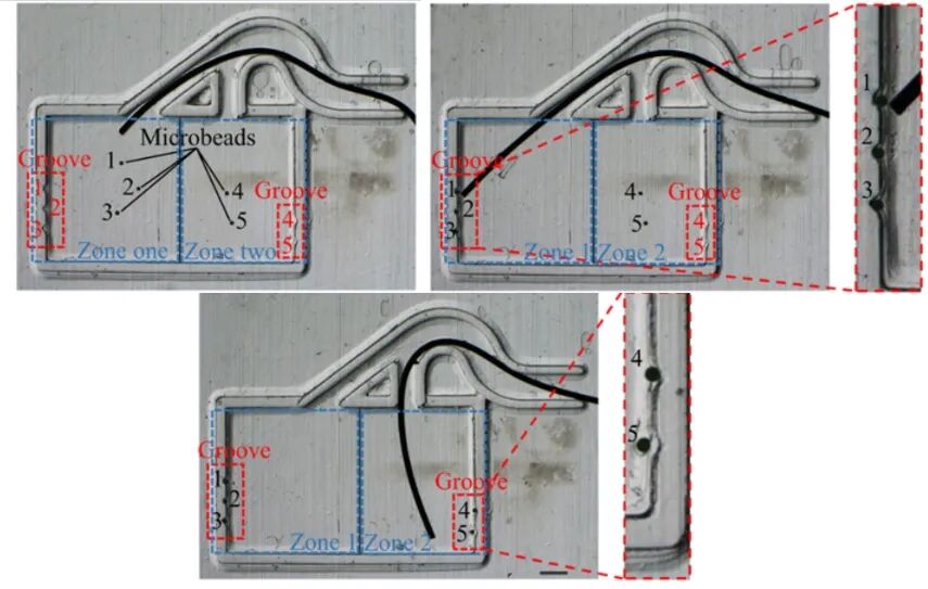 Beijing Institute of Technology Team Magnetizes Microrobots to Simulate Parkour in Blood Vessels and Manipulate Microscopic Objects