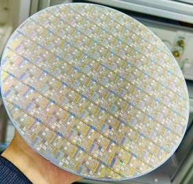 Successful Tape-Out! Excellent Design Solutions from the Fifth Optoelectronic Integrated Chip Design Training Class Achieve Successful Tape-Out