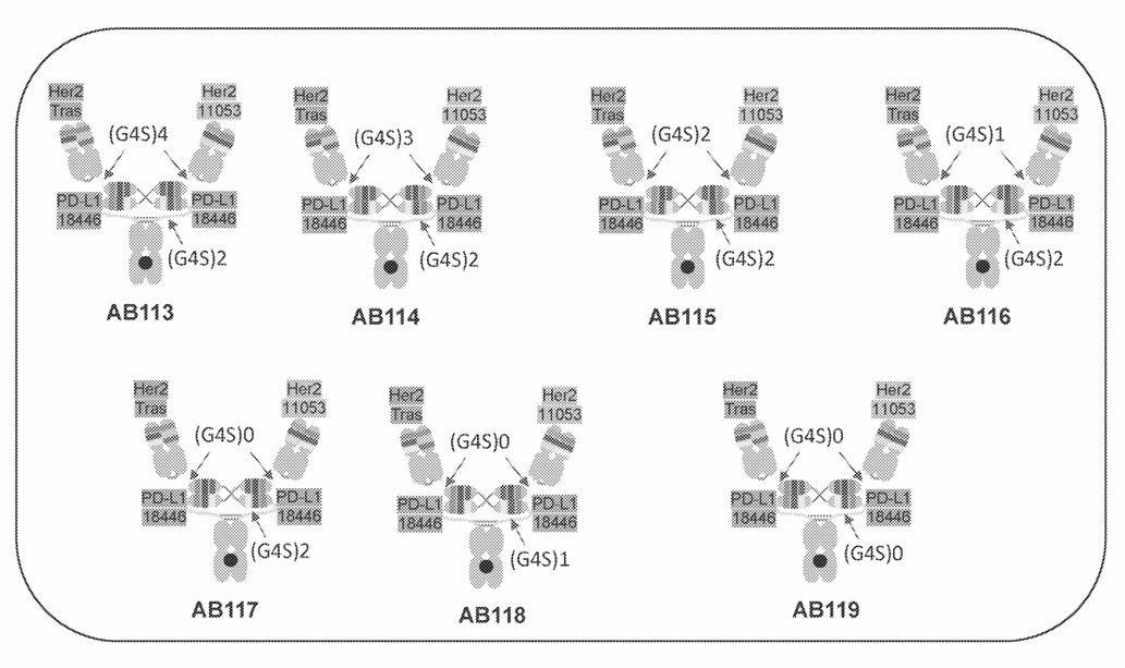 The Arrival of Quadruple Antibody-Drug Conjugates (ADCs)