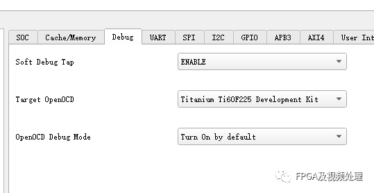 Debugging RISCV with Soft JTAG v1.2