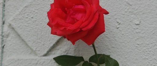 Comparative Analysis of HTTP and ZMQ in Quantitative Trading Technology Selection