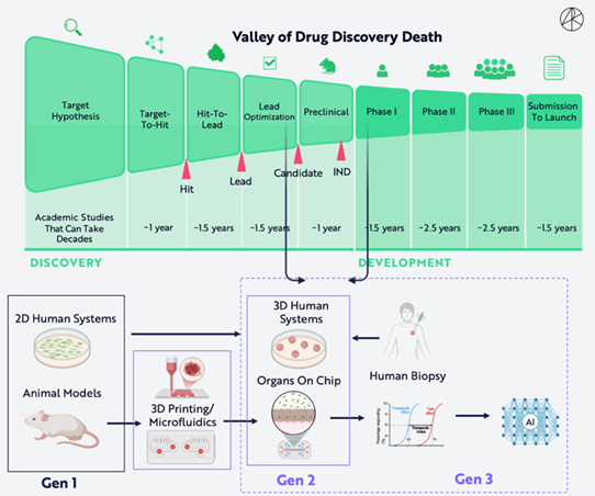 Industry Insights | Research Report on AI and Organoids and Organ-on-Chip Technologies