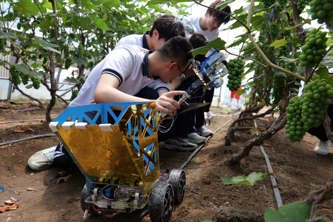 Summer Social Practice Activities of the Intelligent Robot Laboratory Team from the School of Automation Engineering (Part II)