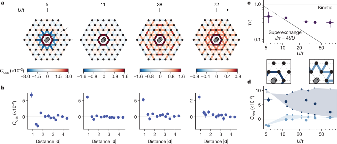 How to Use MATLAB to Retrieve All Illustrations from Nature (Including Images from 2023-2025)