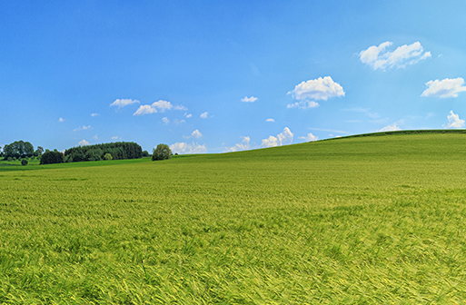 Embedded Family Doctor Services: Ensuring Peace of Mind for Home Treatment