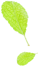 Trends in Organizational Innovation in the Internet Era