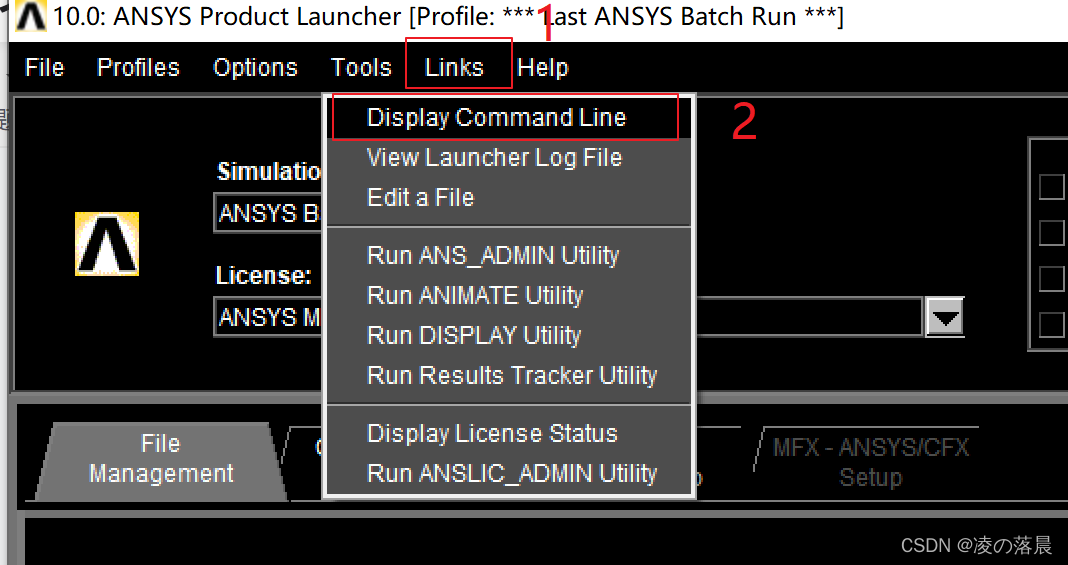 ANSYS Interface Call Operations (Including MATLAB and C++)
