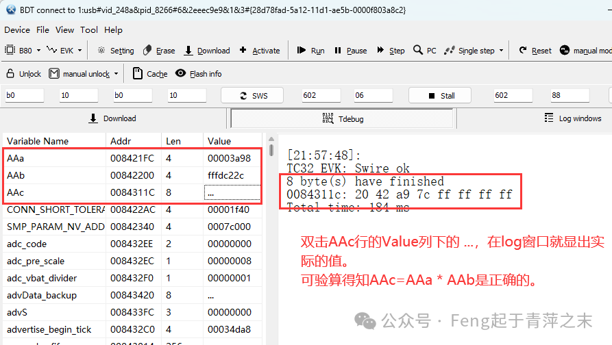 Using Floating Point and Long Division with TLSR8 Chips from TaiLing Micro