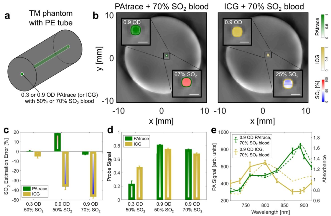 Nature Sub-Journal: Photoacoustic Imaging Technology for Precise Visualization of Tumor Microenvironments