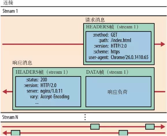 Decoding the New Features of HTTP/2 and HTTP/3