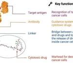 The Evolution of Antibody-Drug Conjugates (ADCs): Opportunities and Challenges