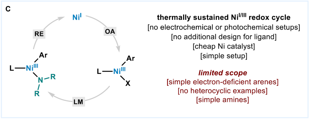 C-N Coupling of Brominated Heteroaromatic Compounds Catalyzed by Ni