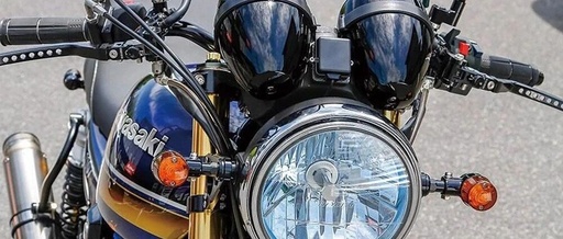 The Majestic Beast: Kawasaki Zephyr 1100RS