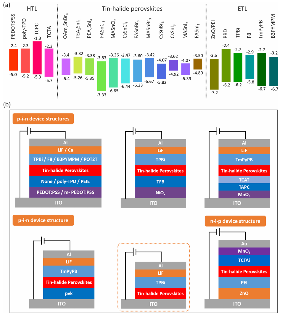 Review by Wang Jianpu & Huang Wei from Nanjing University of Technology: Tin Halide Perovskite Light Emitting Diodes