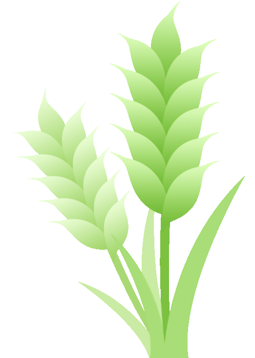 Professor Jia Ning from Southern University of Science and Technology Publishes Two Papers in Science in One Week