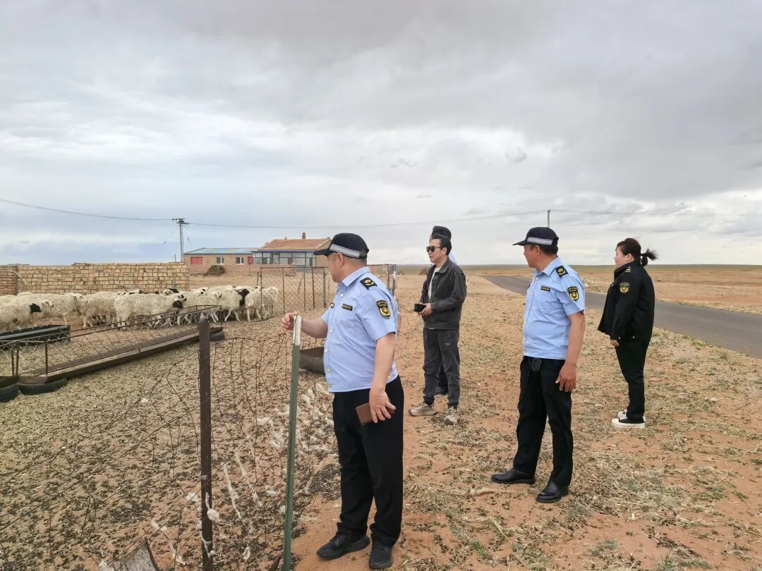 Aqitu Wula Judicial Office Implements 'Embedded' Law Enforcement Supervision to Enhance Administrative Law Enforcement Quality