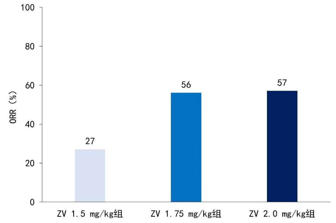 Phase II RCT of New ADC Brings Hope for R/R DLBCL Treatment