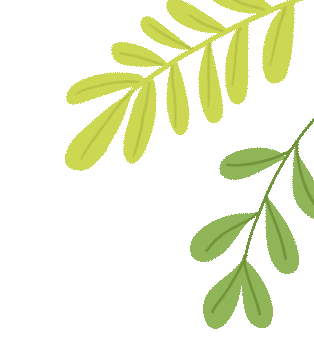 How to Achieve Dynamic Monitoring of Forestry Resources (Forests, Wetlands, Wildlife) Using Satellite Remote Sensing, Drones, and IoT Devices?