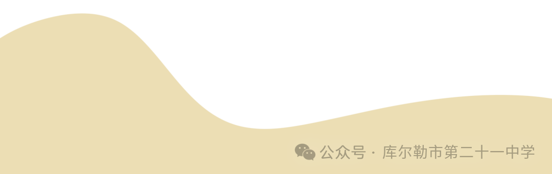 Summary of the 3D Design and Printing Club at the Middle School Level