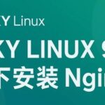 Installing Nginx on Rocky Linux 9