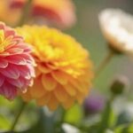 Compilation of Writing Techniques: 300 Articles