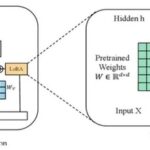 Why LoRA Has Become an Indispensable Core Technology for Fine-Tuning Large Models?