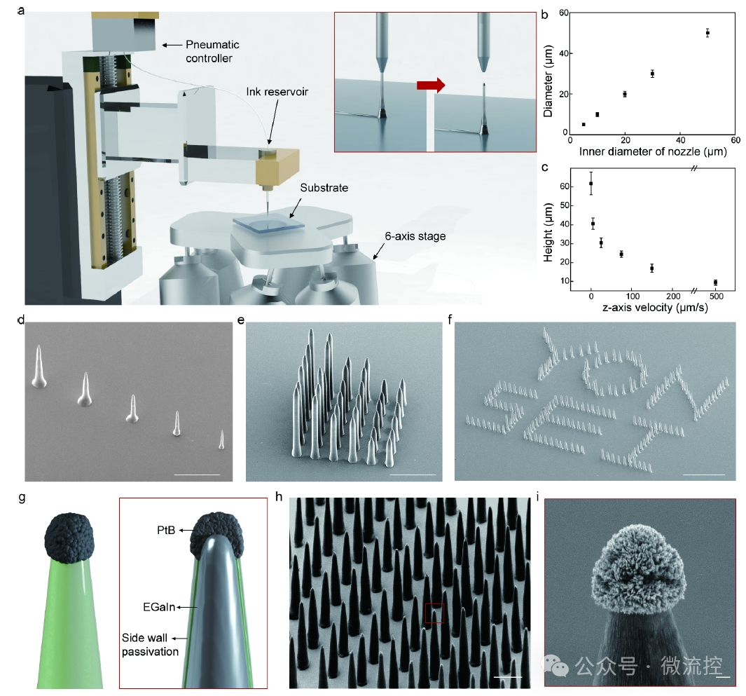 Soft 3D Bioelectrodes for Intraorganoid Signal Monitoring in Cardiac Models