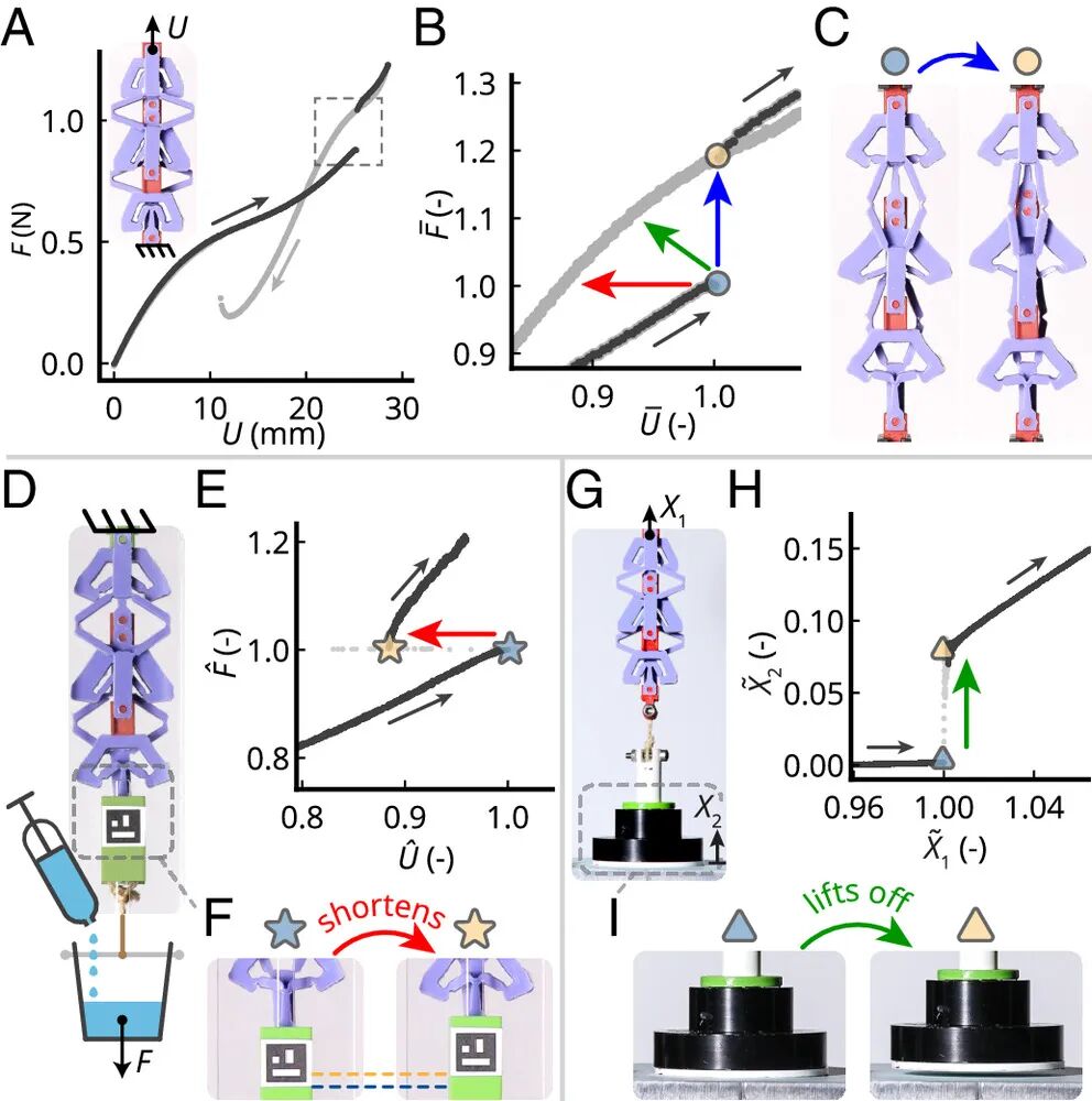 Revolutionary Insights! The Amazing 3D Printed Structure That Shortens When Stretched