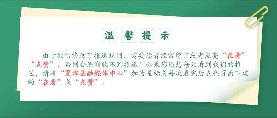 Mulberries: Four Times the Vitamin C of Blueberries and Their Numerous Benefits!