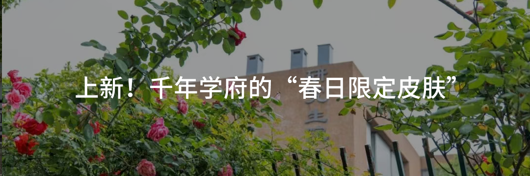 A Teaching Team Delivers Impressive Results After Ten Years