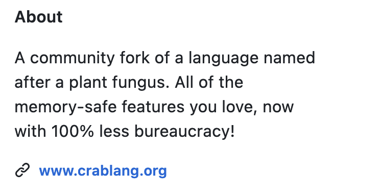 The Ongoing Turmoil Within the Rust Community