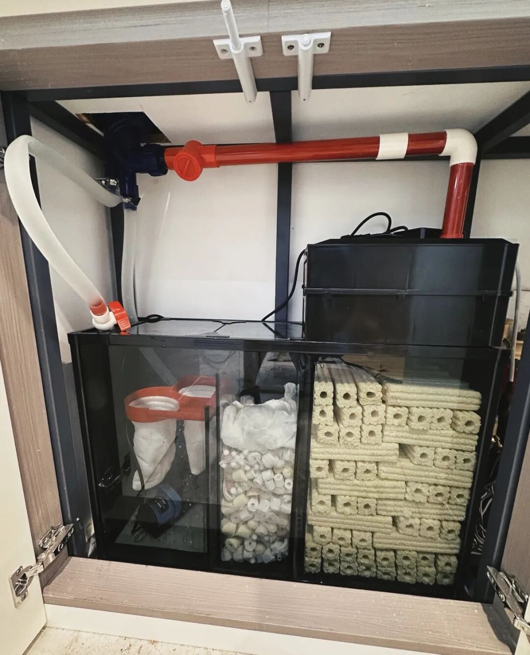 Custom Embedded Aquarium? Here Are Key Points to Discuss with Your Designer in Advance! (Aesthetic and Safety Considerations)